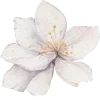 🌸 Эмодзи «Любовь И Точка» для Telegram
