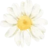 🪷 Эмодзи «Любовь И Точка» для Telegram