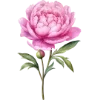 🌸 Эмодзи «Любовь И Точка» для Telegram
