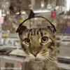 🐈‍⬛ Эмодзи «Котики3333» для Telegram