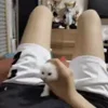 🐈‍⬛ Эмодзи «Котики3333» для Telegram