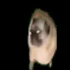 🕺 Эмодзи «😎 Видео набор эмоджи с мемасиками» для Telegram