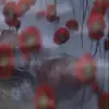 👁️ Эмодзи «Videonirvana» для Telegram