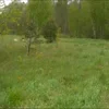 😱 Эмодзи «Батя» для Telegram