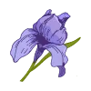 🪻 Эмодзи «Синие буквы, цветы, иконки» для Telegram