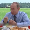 🥄 Эмодзи «Vladimir Putin» для Telegram