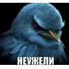 🤩 Эмодзи «Вряд» для Telegram