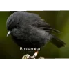 👍 Эмодзи «Вряд» для Telegram