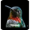 👍 Эмодзи «Вряд» для Telegram