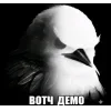 🤩 Эмодзи «Вряд» для Telegram