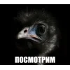🤩 Эмодзи «Вряд» для Telegram