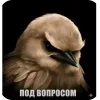 🐦 Эмодзи «Вряд» для Telegram