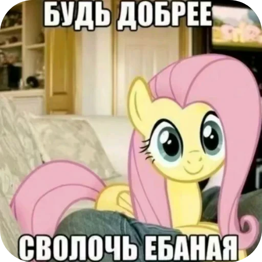 🐱 Стикер «Взял стик пак=Нет матери» для Telegram
