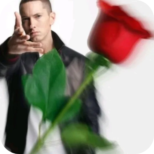 🌸 Стикер «Взял стик пак=Нет матери» для Telegram