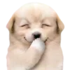 😀 Эмодзи «Dogo #dog #animals #cute» для Telegram