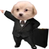 🥸 Эмодзи «Dogo #dog #animals #cute» для Telegram