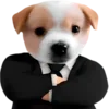 Стикерпак Dogo #dog #animals #cute для Telegram