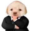 😎 Эмодзи «Dogo #dog #animals #cute» для Telegram