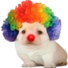 🤡 Эмодзи «Dogo #dog #animals #cute» для Telegram
