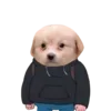 🤓 Эмодзи «Dogo #dog #animals #cute» для Telegram