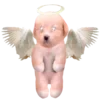 🤩 Эмодзи «Dogo #dog #animals #cute» для Telegram