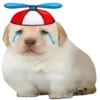 😢 Эмодзи «Dogo #dog #animals #cute» для Telegram