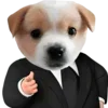 😎 Эмодзи «Dogo #dog #animals #cute» для Telegram