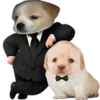 😎 Эмодзи «Dogo #dog #animals #cute» для Telegram