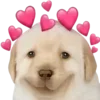 🥰 Эмодзи «Dogo #dog #animals #cute» для Telegram
