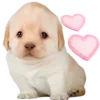 🥰 Эмодзи «Dogo #dog #animals #cute» для Telegram