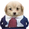 😎 Эмодзи «Dogo #dog #animals #cute» для Telegram