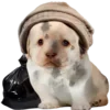 😖 Эмодзи «Dogo #dog #animals #cute» для Telegram
