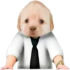 😎 Эмодзи «Dogo #dog #animals #cute» для Telegram