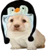 😋 Эмодзи «Dogo #dog #animals #cute» для Telegram