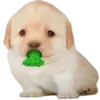 🤢 Эмодзи «Dogo #dog #animals #cute» для Telegram