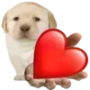 😘 Эмодзи «Dogo #dog #animals #cute» для Telegram