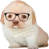 🤓 Эмодзи «Dogo #dog #animals #cute» для Telegram