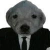 😭 Эмодзи «Dogo #dog #animals #cute» для Telegram