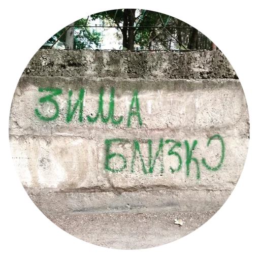 🥳 Стикер «Walls can talk» для Telegram