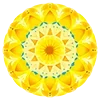 🌸 Эмодзи «Warm» для Telegram