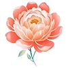🌸 Эмодзи «Warm» для Telegram