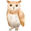 🦉 Эмодзи «Watercolour» для Telegram