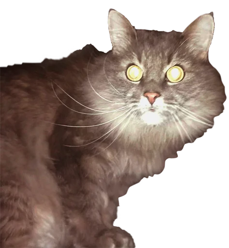 🦖 Стикер «CatMaine Chan» для Telegram
