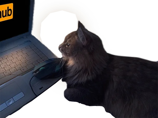 👩‍💻 Стикер «CatMaine Chan» для Telegram