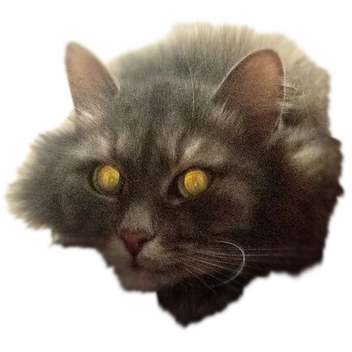 👹 Стикер «CatMaine Chan» для Telegram
