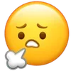 😷 Эмодзи «Wechat Emoji Static» для Telegram