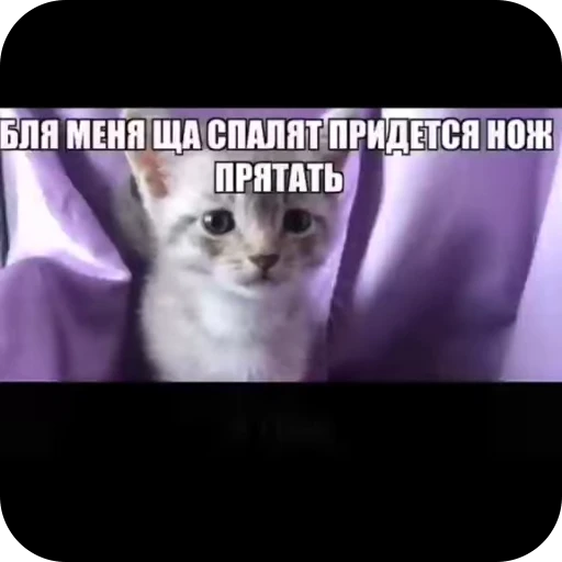 🔪 Стикер «стикеры ядерк» для Telegram