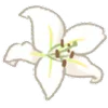 🤍 Эмодзи «🤍 White - белые эмодзи» для Telegram