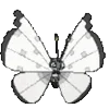 🦋 Эмодзи «𝒲𝘩𝘪𝘵𝘦» для Telegram