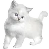 🐱 Эмодзи «𝒲𝘩𝘪𝘵𝘦» для Telegram